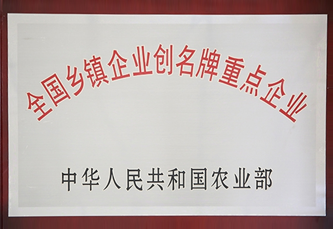 全國(guó)鄉(xiāng)鎮(zhèn)企業(yè)創(chuàng)名牌重點(diǎn)企業(yè)