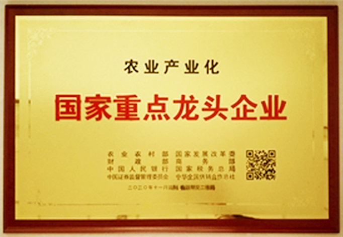 國(guó)家重點(diǎn)龍頭企業(yè)